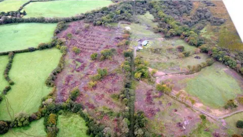 Aerial shot of woodland with a huge number of trees chopped down, piles are visible stacked up and there are very few trees still standing. 