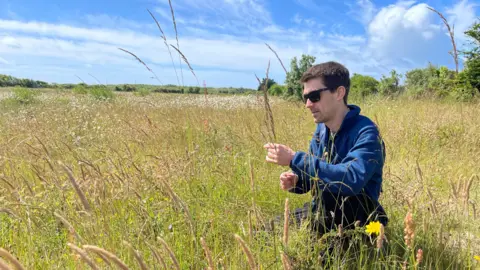 The National Botanical Garden of Wales Kevin kneels in a sunlit, grassy meadow, surrounded by tall seed heads and wildflowers, carefully inspecting a plant stem.