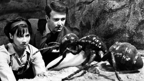 Carole Ann Ford as Susan and William Russell as Ian looking at a giant ant in the episode Planet of the Giants from 1964