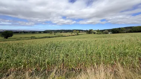 Rolling green fields spread into the horizon, with a cloudy, blue sky above.