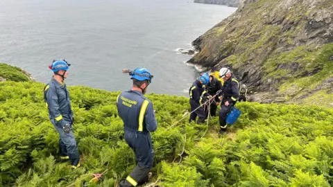 KATE FOX Coastguards attached to a rope walk through fern and are attached to a rope on a cliff edge, they wear protective wear and helmets.