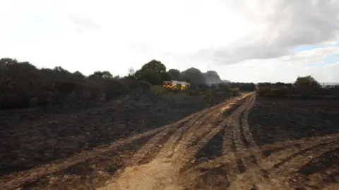 Burned land with a fire engine in the background.