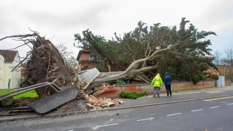 EPA Two people stand beside fallen tree on house