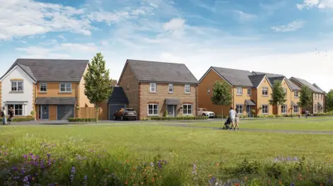 A CGI image of how the homes would look, featuring detached and semi-detached houses, and grassland outside them