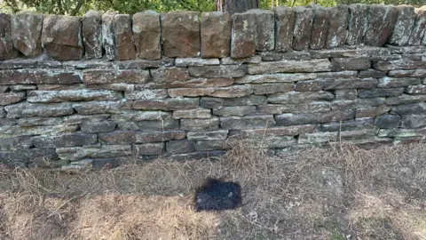 Simon Thake A black rectangular shape of scorched earth on the grass