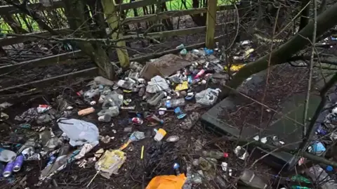 Litter on a verge on the A38 near Denby