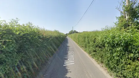 A countryside road with grassy bushes on either side