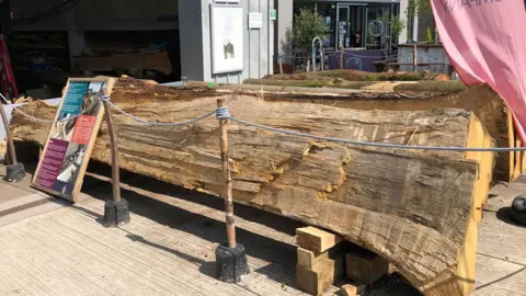 Darren Rozier/BBC Two quarter of an oak tree trunk lying on the ground at the Waterbridge waterfront, Suffolk 