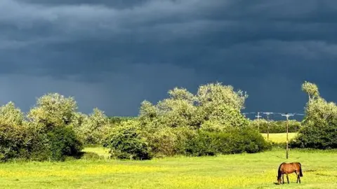 A horse grazes under a threatening sky in Denchworth