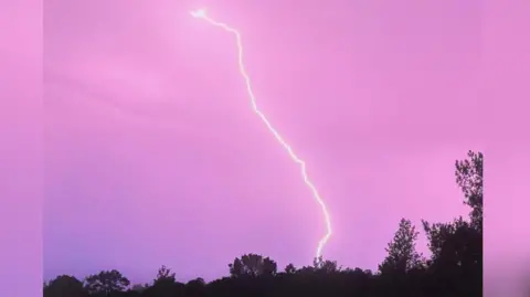 StormChaserLiam A single bolt of lightning in a pink sky above a line of trees