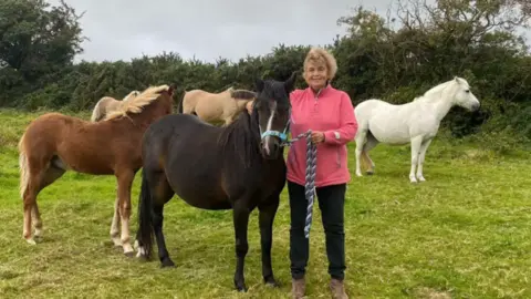 vicki hargreaves Hargreaves with her pet horses, standing in a field.