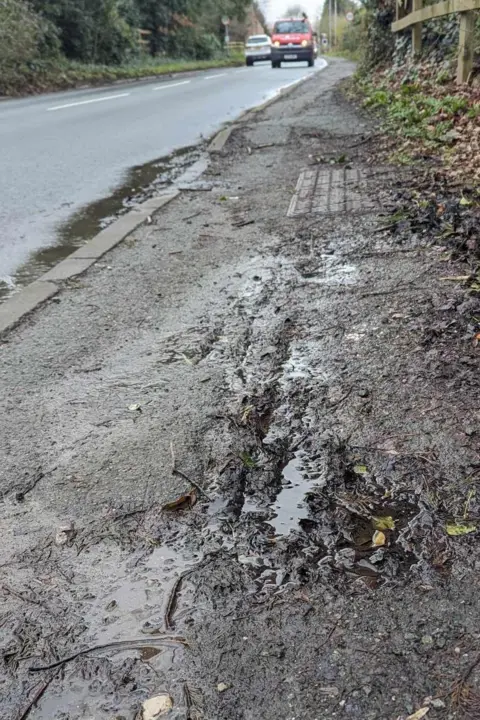 Joanna Pemberton Capenhurst Lane