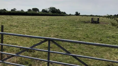 A large open field with short, green grass stretching across the foreground and into the distance. A metal farm gate with horizontal bars runs across the lower portion of the image, marking the boundary of the field. In the distance, a line of trees and hedgerows forms the horizon, creating a natural border around the landscape. Off to the right side of the field, there is a small, empty livestock feeder standing on a patch of disturbed ground.