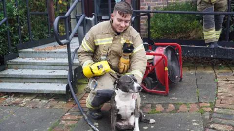 A fireman pets a brown and white dog 