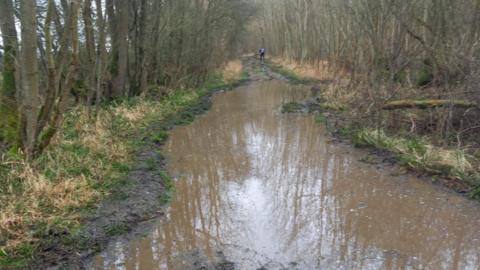 A flooded path in a nature reserve 