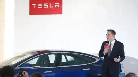 Elon Musk and Tesla car