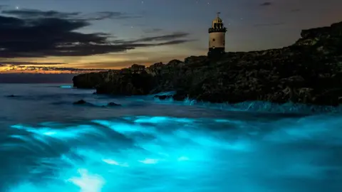 Bioluminescent plankton at Penmon Point. A bright blue glow can be seen in the crashing waves reaching the shore. There are dark clouds and stars in the sky. A light house can be seen in the far right of the image.