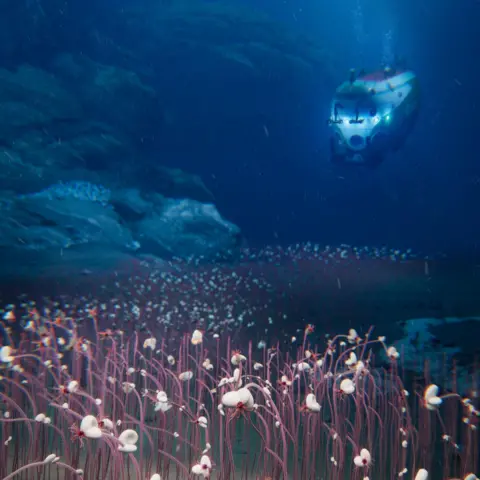 Idsse/cas The artist's impression of a submersible vehicle explores a deep trench in the ocean filled with red worms that appear from the ocean floor.