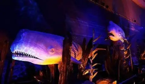 Peterborough Cathedral Monsters of the sea at Peterborough Cathedral