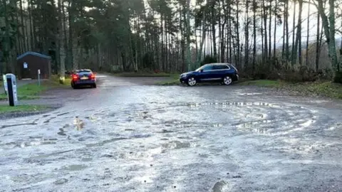 The ground is grey and wet, with holes and puddles in a circular format. Two blue cars are parked in front of several tall trees.