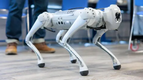 University of Hertfordshire A white robot about the size of a small dog stands on four legs