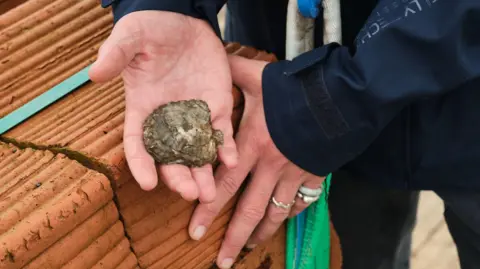 PA Media A person's hand which has an oyster in it. Their other hand is resting on a pile of orange coloured clay bricks, which are ribbed. 