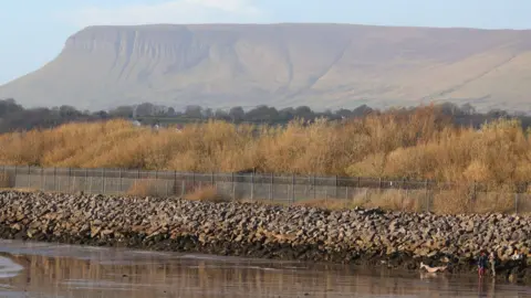Emilie De Loose, IWDG In the background is a mountain in County Sligo - Benbulbin - to the bottom right of the picture the body of a shark can be seen 