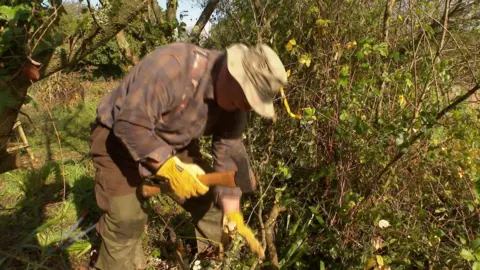 Man hitting a tree stump with an axe in the green spaces at Langdon Hospital, Dawlish 