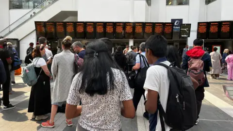 A crowd stands in front of a row of screens that should show train departure times but all say "Special Notice" on them.