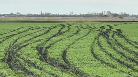 Matthew Latta A green field that has been left damaged with tyre marks across it.