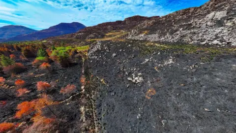 PATRICK O'NEILL An aerial picture of the Rhinogydd mountain range, showing huge areas of burnt-out black land, and scorched trees.