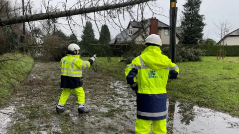 PA Electricity engineers in high visibility jackets inspect damage by fallen trees. The road is partially flooded and the tree is blocking the road. 