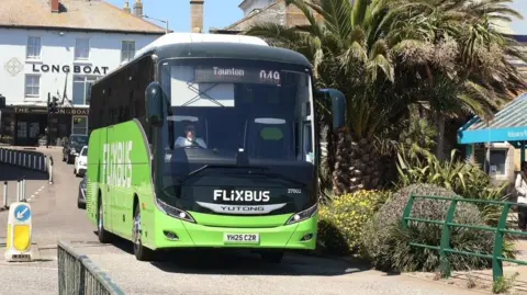 BBC A FlixBus parked at a bus stop. There is a palm tree next to it and a white building in the background.