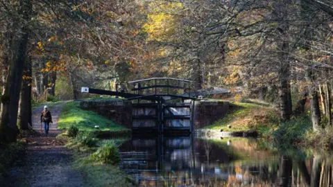 A lock on the Basingstoke canal