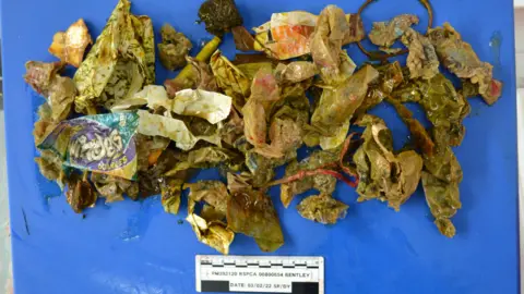 RSPCA The stomach contents from Bentley the dog