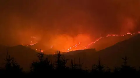Galloway Mountain Rescue Team A wildfire pictured at night in the Galloway Forest Park. Lines of orange flames burn across the hillside and the orange/grey smoke can be seen rising from the dark hills.
