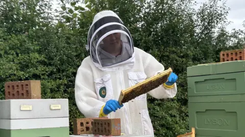 Family handout A young beekeeper wearing a white beekeeping suit and blue gloves studies a tray full of bees.