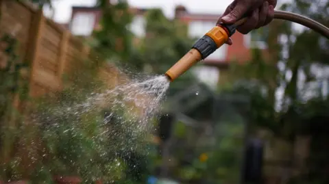 A hosepipe being sprayed onto a garden.