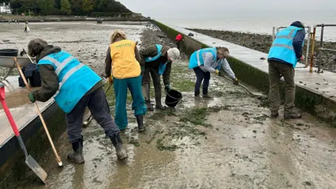 A group of volunteers in blue hi-vis vests, scooping mud and silt from the bottom of the empty pool, using shovels and buckets.