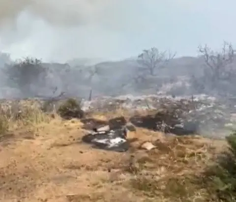 Hampshire and Isle of Wight Fire and Rescue Service A screengrab from a Hampshire Fire and Rescue Service video showing the remains of a campfire at the scene of the fire on the Isle of Wight. Half burnt logs can be seen lying on the ground.