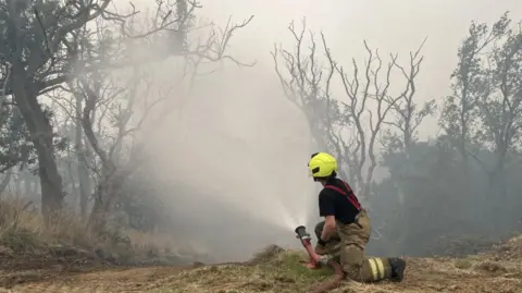 A fire fighter in a yellow helmet is kneeling on the ground facing away from the camera next to a hose that is spraying water on to trees and undergrowth in the background.