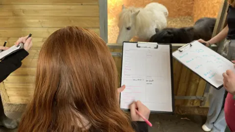 Children recording their senses on clipboards as part of a mindfulness activity outside the stable of Shetland ponies, Bubbles and Lullaby