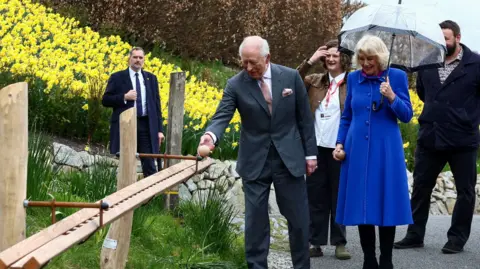 King is ready to release a marble down a large wooden chute. Camilla is by his side and there are many plants behind, including a swathe of daffodils.