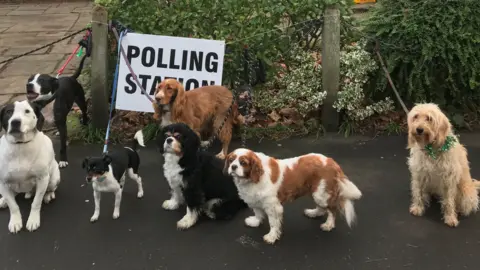 Anna Skipwith/@hellosocialLdn Seven dogs outside a polling station