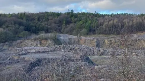 A wide view of the quarry, with piles of stones running in lines, which is overlooked by woodland