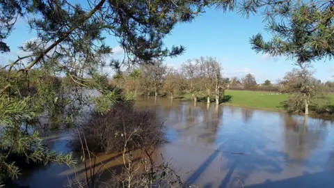 A flooded river has come right up to trees running alongside it. The water is brown and has engulfed some hedges. There are fields in the distance on a clear and sunny day.