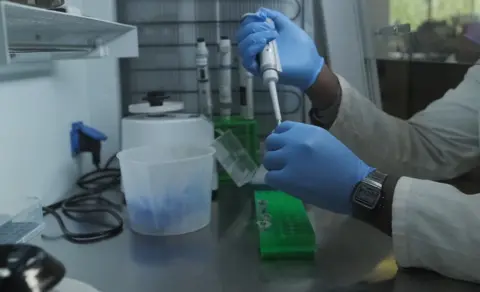 TRACE, Simon Dures A man wearing blue rubber gloves, with his arms in a special air filtration cabinet is holding a white, liquid sampling device.  He is transferring samples from one set of clear plastic containers to another group which all have numbers written on them.
