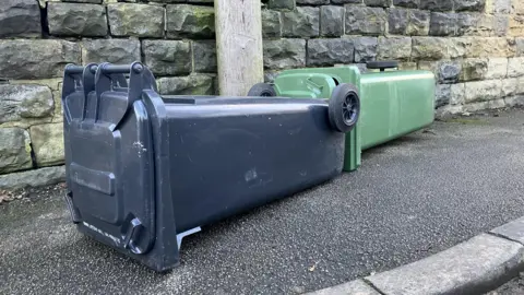 BBC/Elizabeth Baines Two household waste bins lie on their sides on a pavement. One is green and the other black.