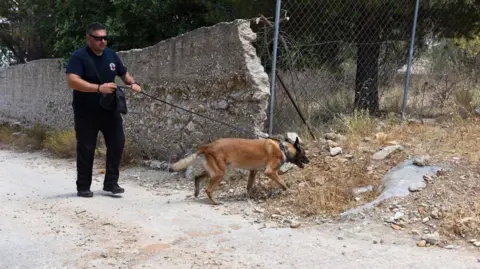 Reuters Tan coloured sniffer dog searching in an area of rubble by a fence being led by a dog handler wearing shades and dark clothing