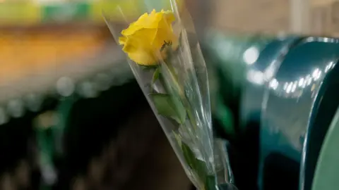 Norwich City A single yellow rose, wrapped in plastic, sits on a green plastic stadium seat. The background is blurred.